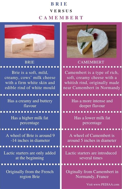 camembert meaning.
